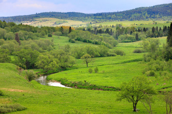 Warsztaty fotografii przyrody w Bieszczadach z Canonem