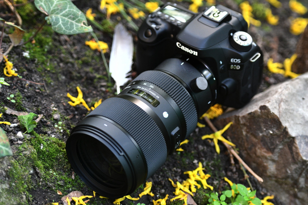 Sigma 50-100 mm f/1.8 DC HSM ART - zdjęcia przykładowe