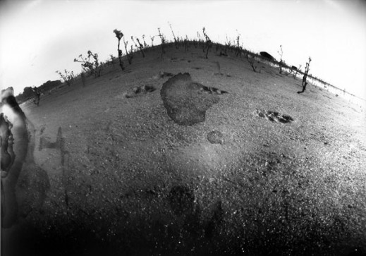 "pinhole" Karoliny Mostek w Pauzie