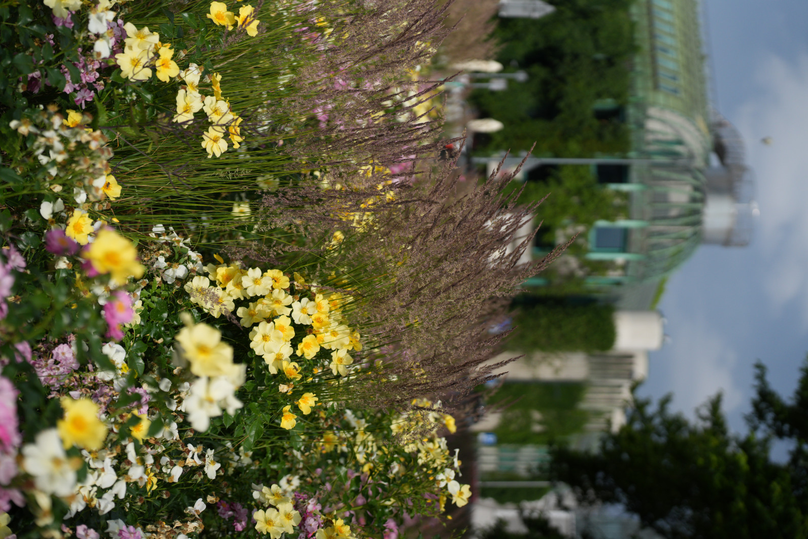 1/8000 s, f/3.2, ISO 400, 60.0 mm