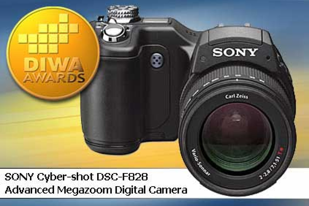 Medale DIWA dla produktów Sony