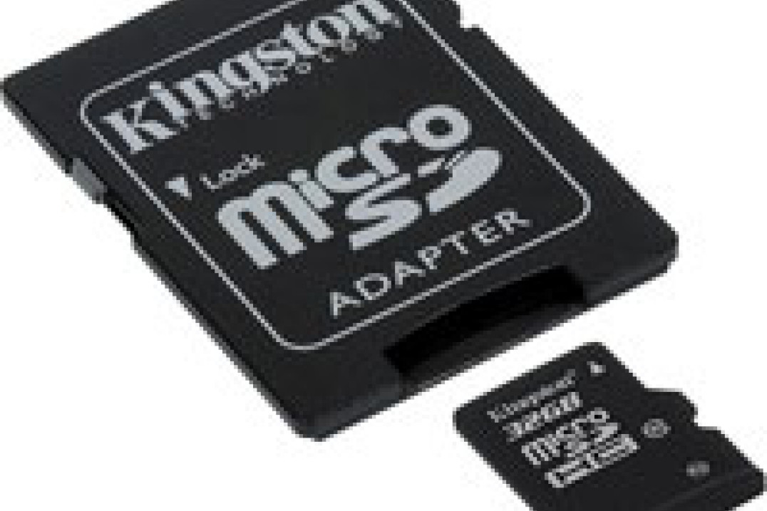 Kingston 32GB Class 10 microSDHC