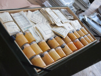 Akcja "FotoRejestr". Odkurzamy domowe archiwa