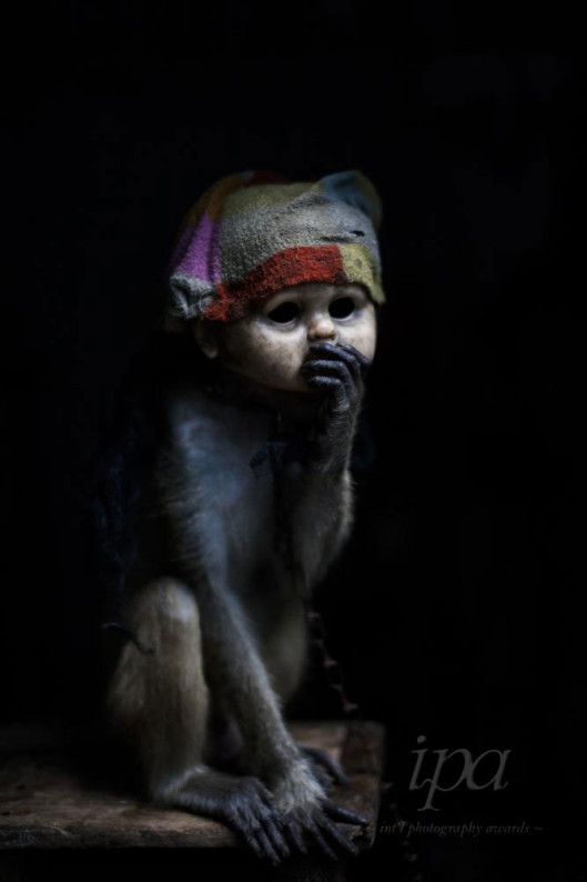 fot. Artur Gutowski