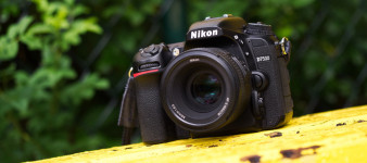 Nikon D7500 - zdjęcia przykładowe