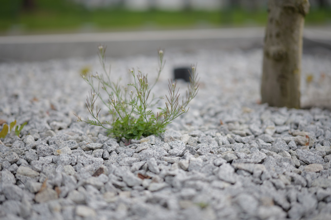 1/400 s, f/1.2, ISO 100, 50.0 mm