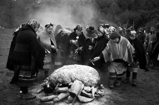 fot. Pablo E. Piovano, Mapuche: The Return of the Ancient Voices, National Geographic, najlepszy projekt długoterminowy w regionie Ameryki Południowej / World Press Photo 2024Społeczności Mapuche to rdzenni mieszkańcy terytoriów, które obecnie należą do Argentyny i Chile. Znaczna część ziemi ich przodków jest obecnie wykorzystywana komercyjnie - pod górnictwo, leśnictwo, projekty hydroelektryczne czy szczelinowanie. Pomimo nowych przepisów, pozornie wspierających prawa Mapuche, dyskryminacja wywodzących się z tej społecznośc aktywistów nie ustaje. Dla wielu Mapuczów nie jest to wyłącznie spór terytorialny: ziemia jest częścią ich kulturowej i duchowej tożsamości. Komercyjna degradacja środowiska narusza zarówno pamięć o przeszłości, jak i równowagę między naturą a ludzkim zdrowiem. Jury doceniło głębszy wgląd tej historii w światopogląd rdzennych mieszkańców w ramach ich walki z rządami i przemysłem wydobywczym.