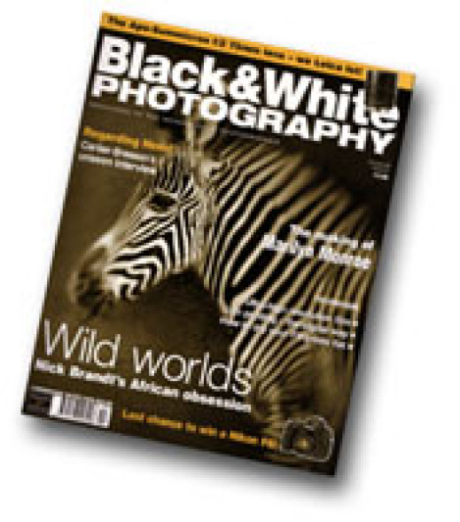 Black & White Photography - październik 2005