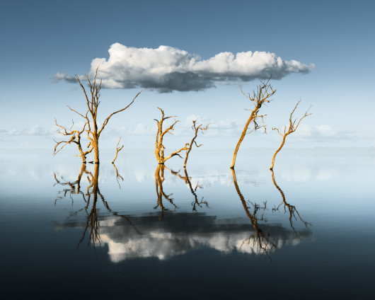 fot. Ben Goode, Reflector, 2. miejsce w kat. pojedynczej / 2021 International Landscape Photographer of the Year