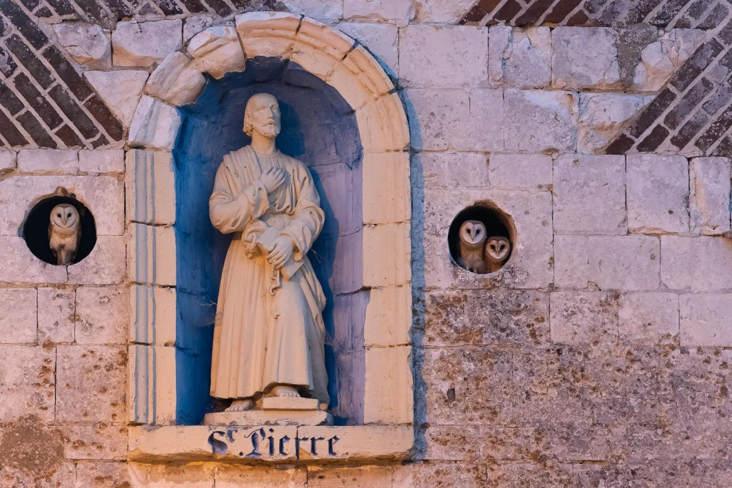 "Sainte Trinité", fot. Benoit Henrion (France) - Bronze Award, Urban Birds | Bird Photographer of the Year