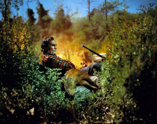 Sony World Photography Awards 2012