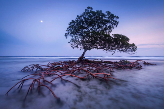 Strażnik Plaży, fot. Mac Stone, USA