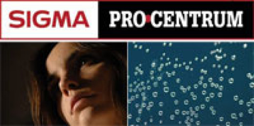 Warsztaty Sigma Pro Centrum w Krakowie i Chorzowie