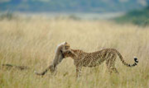 National Geographic Photo Contest 2012
