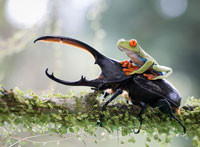 Trwa konkurs Sony World Photography Awards 2014