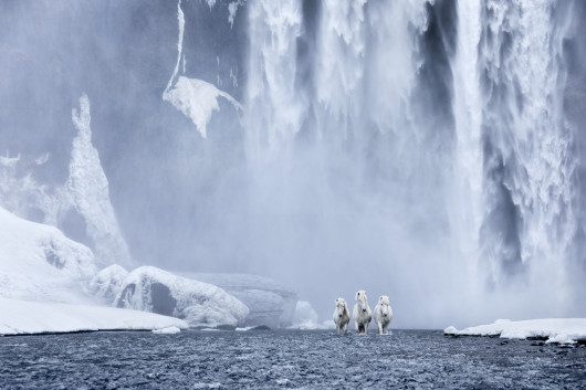 fot. Drew Doggett In the Realm of Legends”
