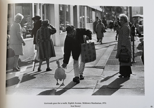 Only in New York - książka z fotografiami z the New York Times