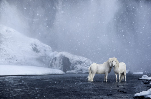 fot. Drew Doggett In the Realm of Legends”
