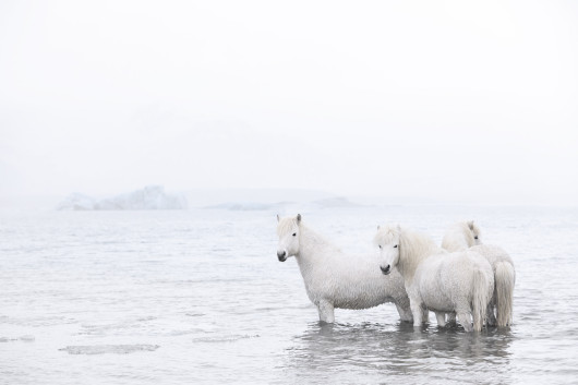 fot. Drew Doggett In the Realm of Legends”