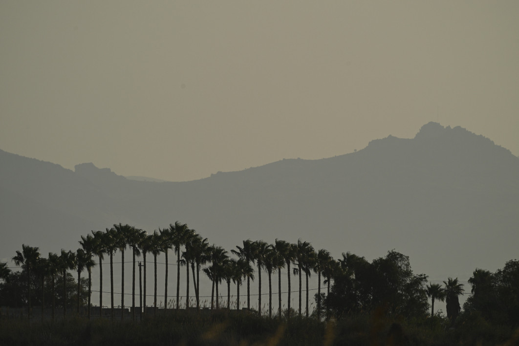 1/4000 s, f/8, ISO 400, 600.0 mm