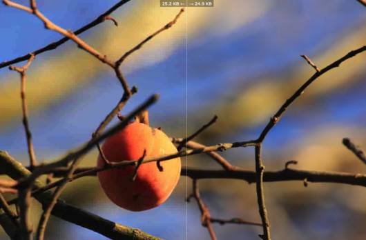 JPEG vs BPG
