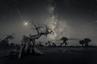 Oto najlepsze zdjęcia nocnego nieba z konkursu Insight Astronomy Photographer of the Year 2019. Polacy wśród wyróżnionych