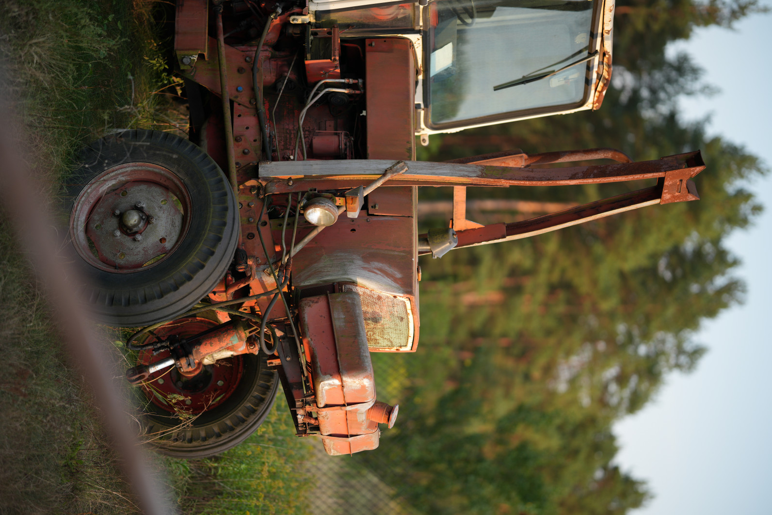 1/800 s, f/1.4, ISO 100, 85.0 mm