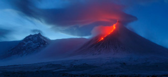 Nature Photographer of the Year 2021 - najlepsze zdjęcia natury minionego roku