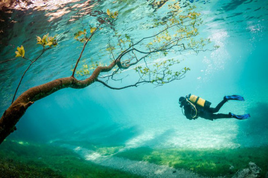 Zdobywca trzeciego miejsca: Marc Henauer Diver in Magic Kingdom