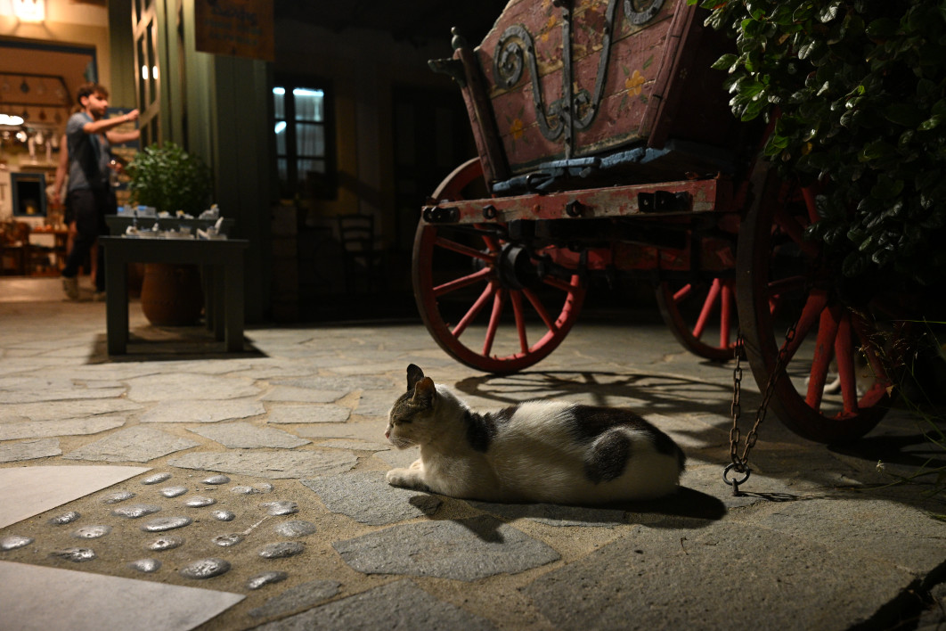 1/250 s, f/4, ISO 3200, 28.0 mm