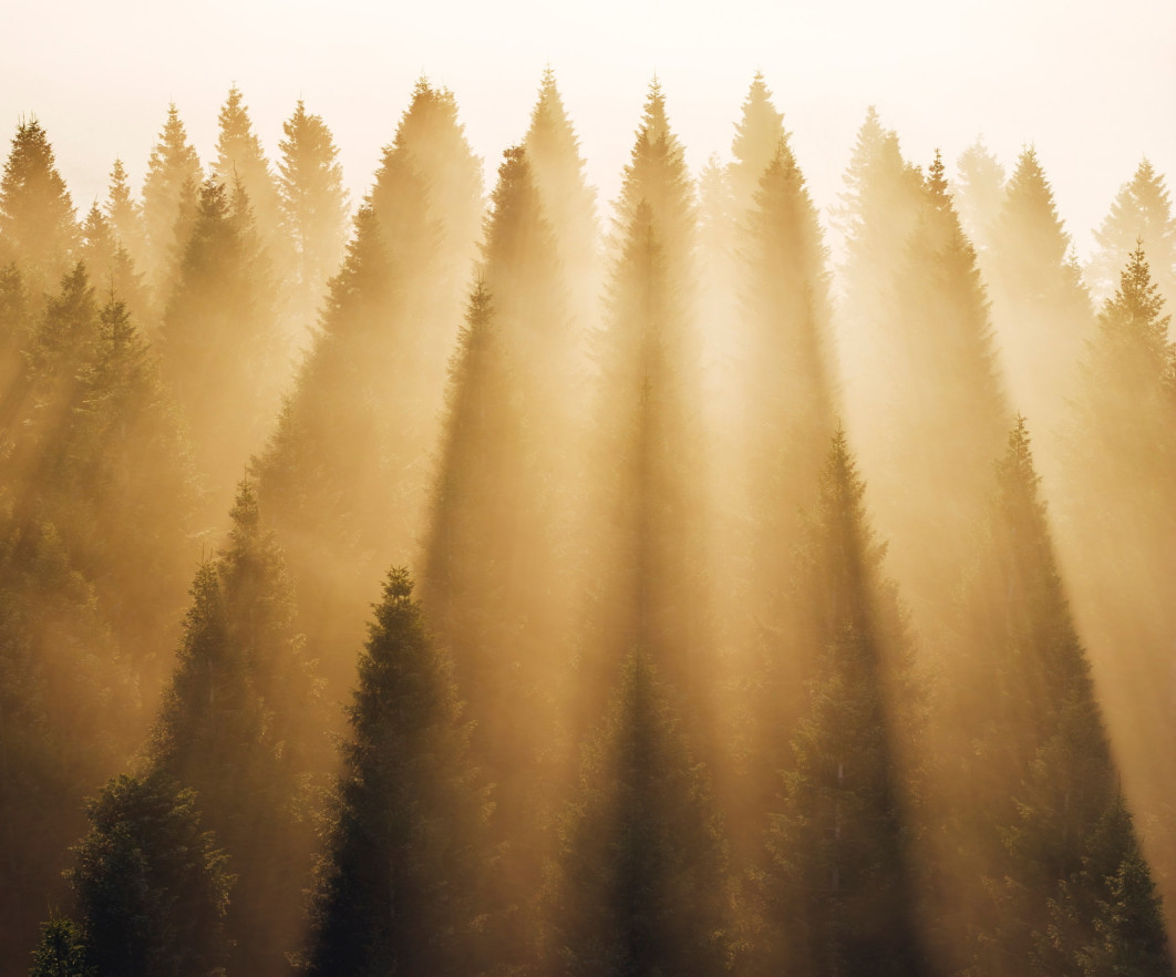 Fot. Alexandra Moldovan / International Aerial Photographer of the Year 2026