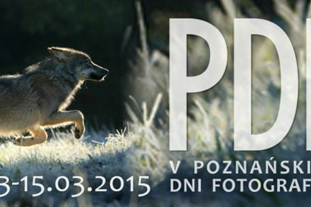 V edycja konkursu "Przyroda w obiektywie"