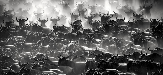 Polacy zwycięzcami MonoVisions Photography Awards 2020