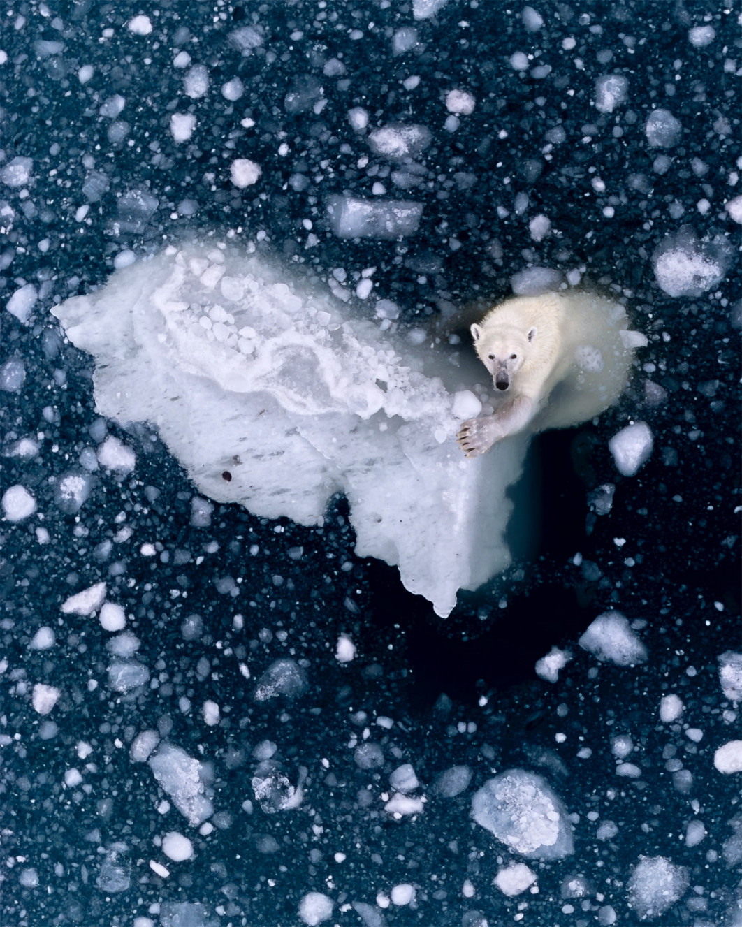 Fot. Rhiannon Lawler / International Aerial Photographer of the Year 2026