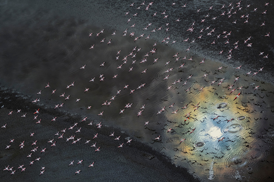 Fot. Cedric Tamani / International Aerial Photographer of the Year 2026