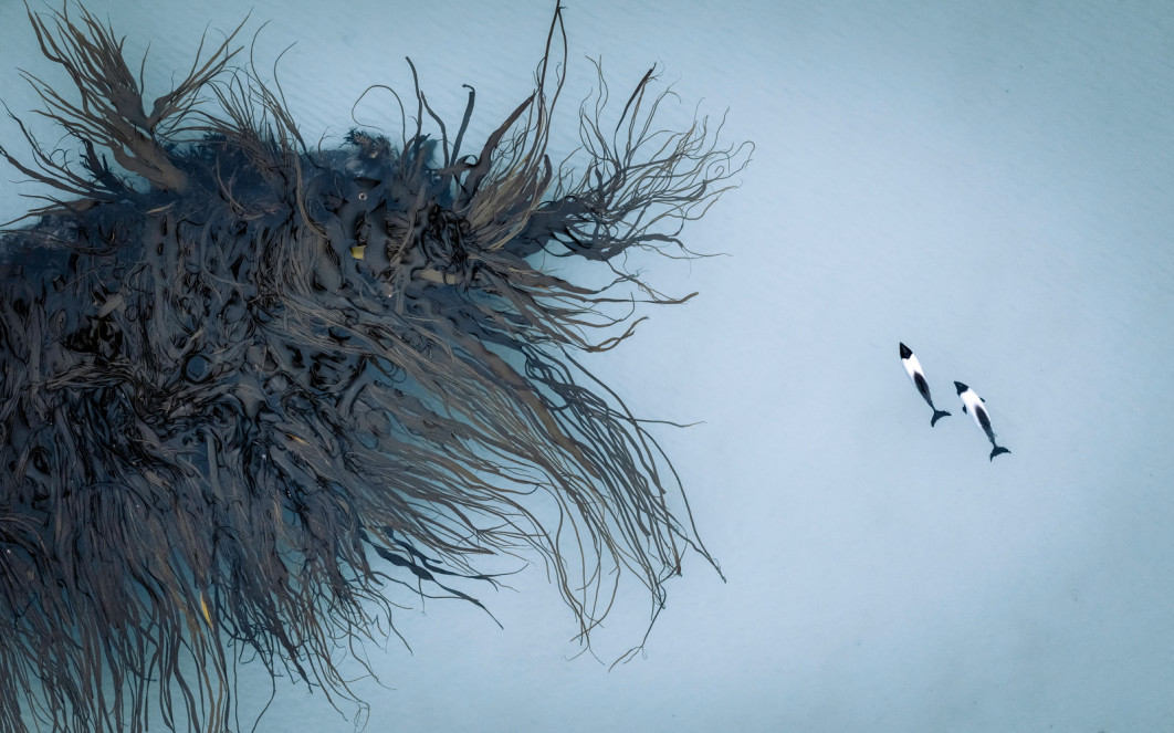 Fot. Koki Shinoda / International Aerial Photographer of the Year 2026