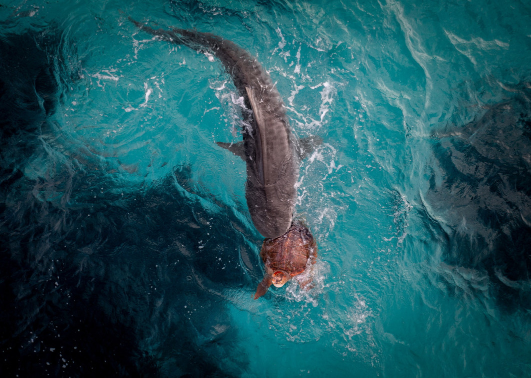 Fot. Dylan De Haas / International Aerial Photographer of the Year 2026