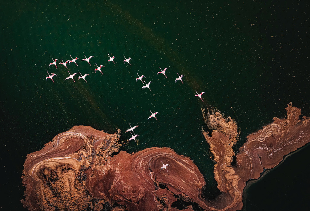 Fot. Holly Kirkland /International Aerial Photographer of the Year 2026