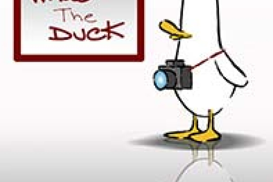 Plebiscyt "What The Duck" - rozstrzygnięty!