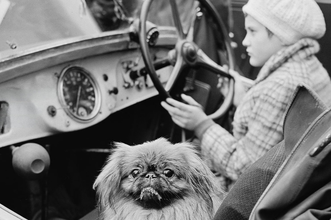 Śląski Cartier-Bresson - przekrojowa wystawa Józefa Makala w Katowicach