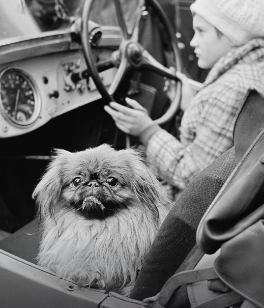 Śląski Cartier-Bresson - przekrojowa wystawa Józefa Makala w Katowicach