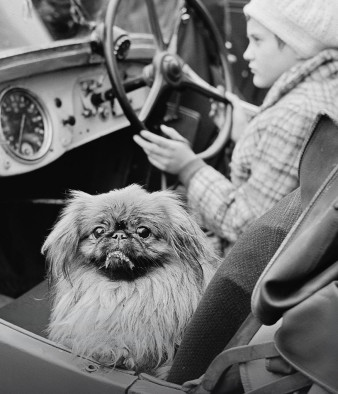 Śląski Cartier-Bresson - przekrojowa wystawa Józefa Makala w Katowicach