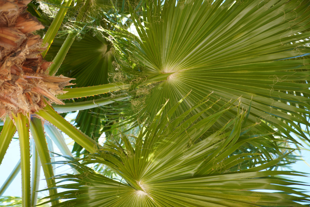 1/100 s, f/3.2, ISO 100, 50.0 mm