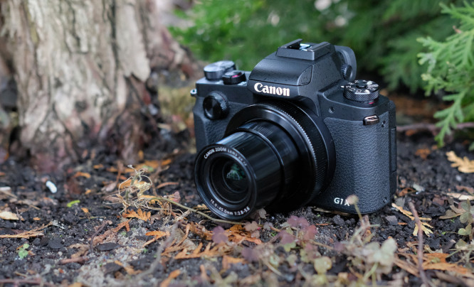 Canon PowerShot G1 X Mark III - zdjęcia przykładowe