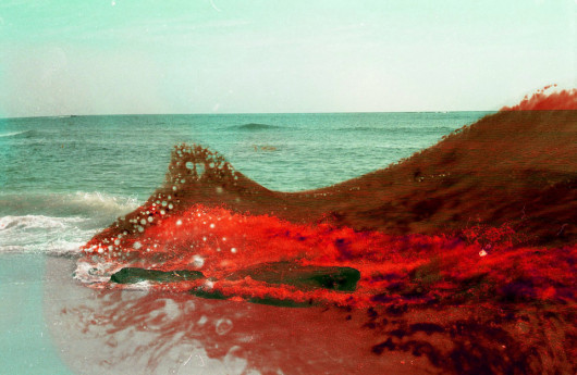 fot. Brandon Seidler