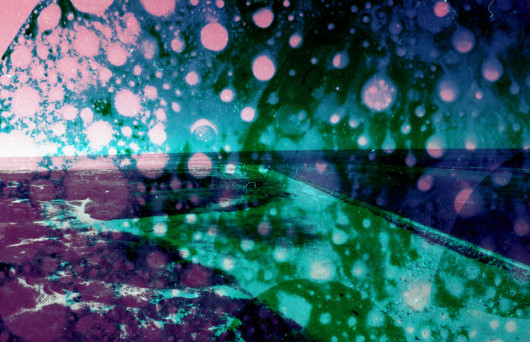 fot. Brandon Seidler
