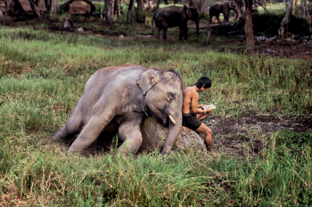 Steve McCurry: On Reading
