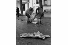 fot. Dowieźli towar, Orneta k. Olsztyna 1973 r., Muzeum Historii Fotografii w Krakowie