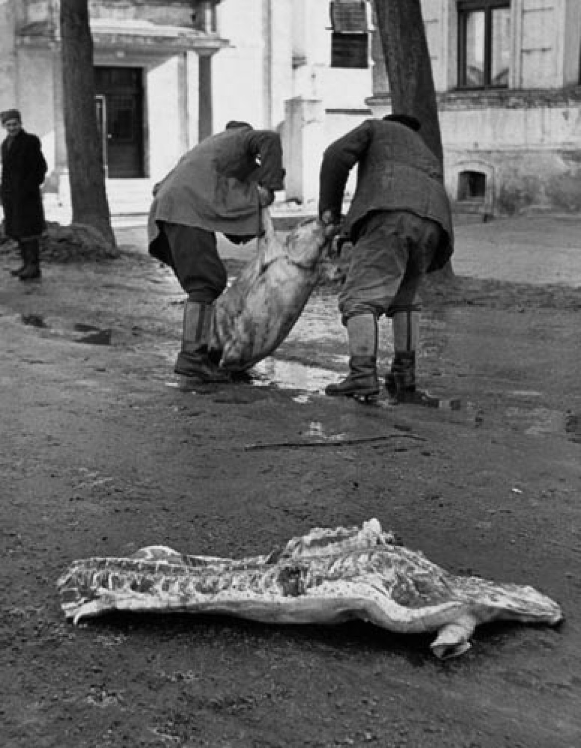 fot. Dowieźli towar, Orneta k. Olsztyna 1973 r., Muzeum Historii Fotografii w Krakowie