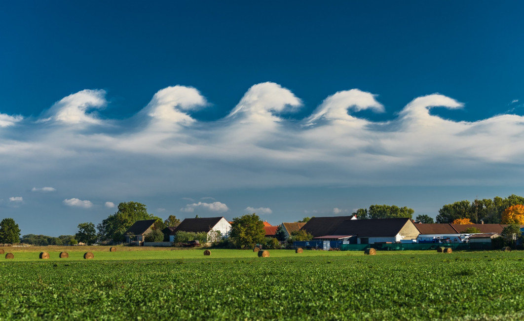 <strong>III miejsce i I Nagroda publiczności, fot. Lukas Gallo, Czechy</strong><br /><br />

Podczas jazdy w pobliżu Vodňan w południowych Czechach fotograf Lukáš Gallo zauważył, że na niebie zaczynają formować się nietypowe chmury. Jechał dalej, obserwując, jak niebo się zmienia, aż po około 30 minutach nad jego głową pojawił się spektakularny układ falowych chmur Kelvina-Helmholtza. Zatrzymał samochód, chwycił aparat i uwiecznił to ulotne zjawisko z pobliskiego pola. „Nie planowałem tego – wszystko wydarzyło się nagle. Ale właśnie takie zdjęcia są najlepsze” - mówi fotograf.<br /><br />

Te rzadkie chmury falowe, zwane również fluctus, powstają, gdy pomiędzy dwiema warstwami powietrza występuje gwałtowna różnica prędkości lub kierunku wiatru - podobnie jak wiatr wzburza powierzchnię morza, tworząc fale. W efekcie pojawia się seria chmur przypominających załamujące się morskie grzywacze, stanowiących jednocześnie wizualne ostrzeżenie przed turbulencjami.<br /><br />

Na tle spokojnego, wiejskiego krajobrazu - zielonych pól z rozsianymi belami siana - dramatyczne chmury wyglądają jeszcze bardziej niezwykle, jakby natura na chwilę postanowiła się popisać. Choć kompozycja powstała spontanicznie, juror Peter Gibbs pochwalił ujęcie: „To jedne z najlepszych chmur Kelvina-Helmholtza, jakie widziałem. Zazwyczaj są tak krótkotrwałe, że trudno je w ogóle dostrzec, nie mówiąc o sfotografowaniu”. Chmury tego typu utrzymują się zwykle zaledwie kilka minut, co czyni je wyjątkowo trudnym tematem fotograficznym.
